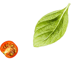 leaf-image